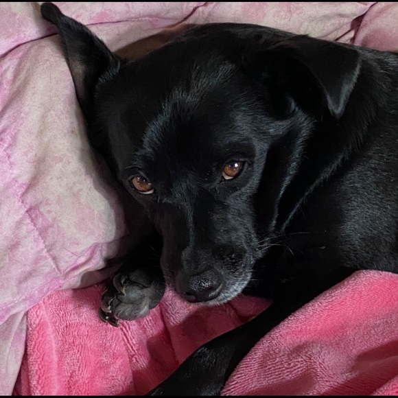 New listing up!❤️⬅️next door 4 updates🙏(The one with my Christmas picture😂) - Picture 12 of 16